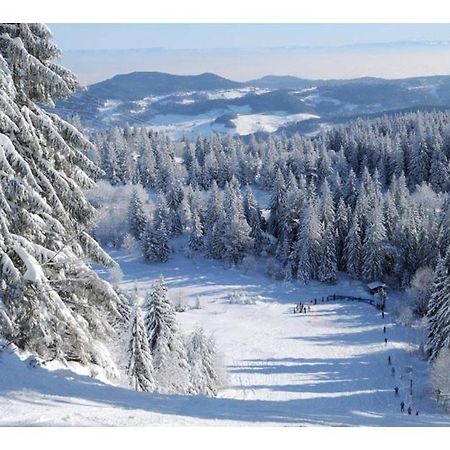 Le bonhomme proche de Kaysersberg et du lac blanc Extérieur photo